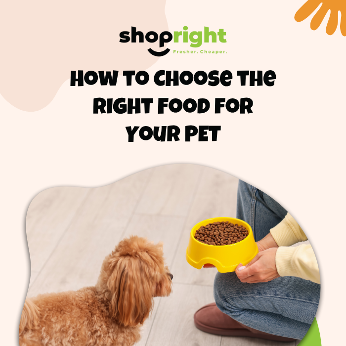 Choose the Right Food for Your Pet